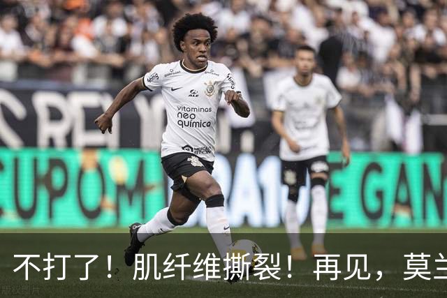 不打了!肌纤维撕裂!再见,莫兰特